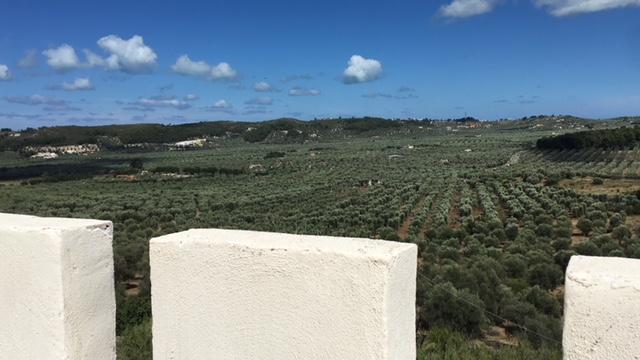 Tenuta Valle Della Corte Vieste Exteriör bild